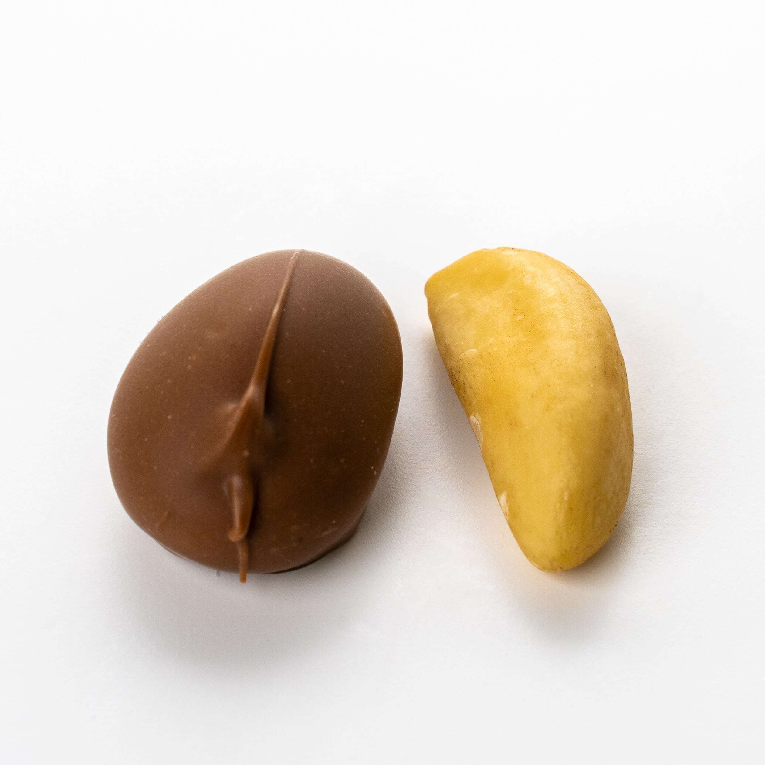 Milk Chocolate Brazil